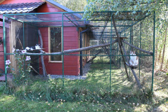 hotel-dla-kotow-3gwiazdki-15
