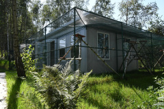 hotel-dla-kotow-4gwiazdki-7